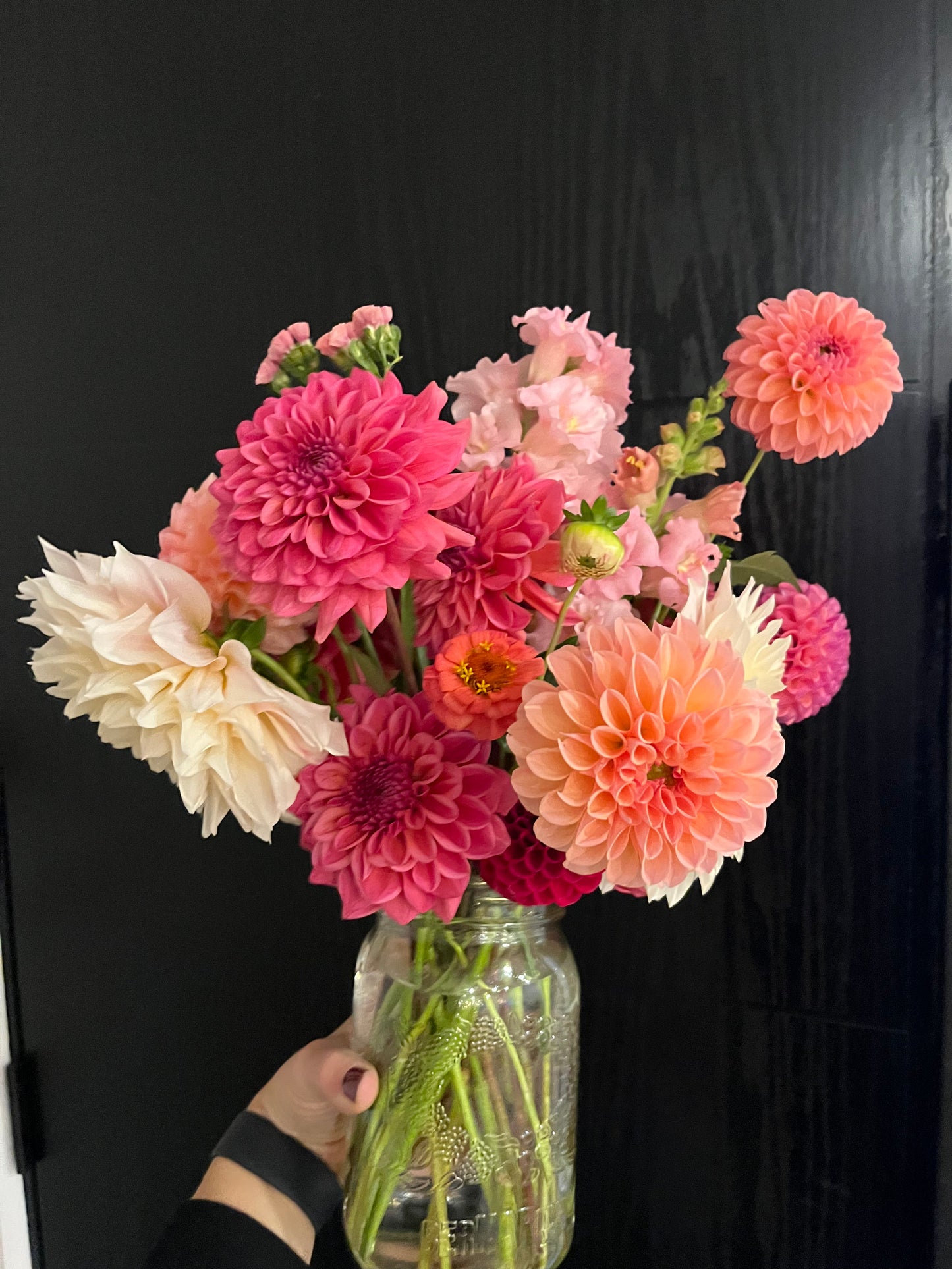 Dahlia Fall Bouquet Subscription (Mississauga and area)