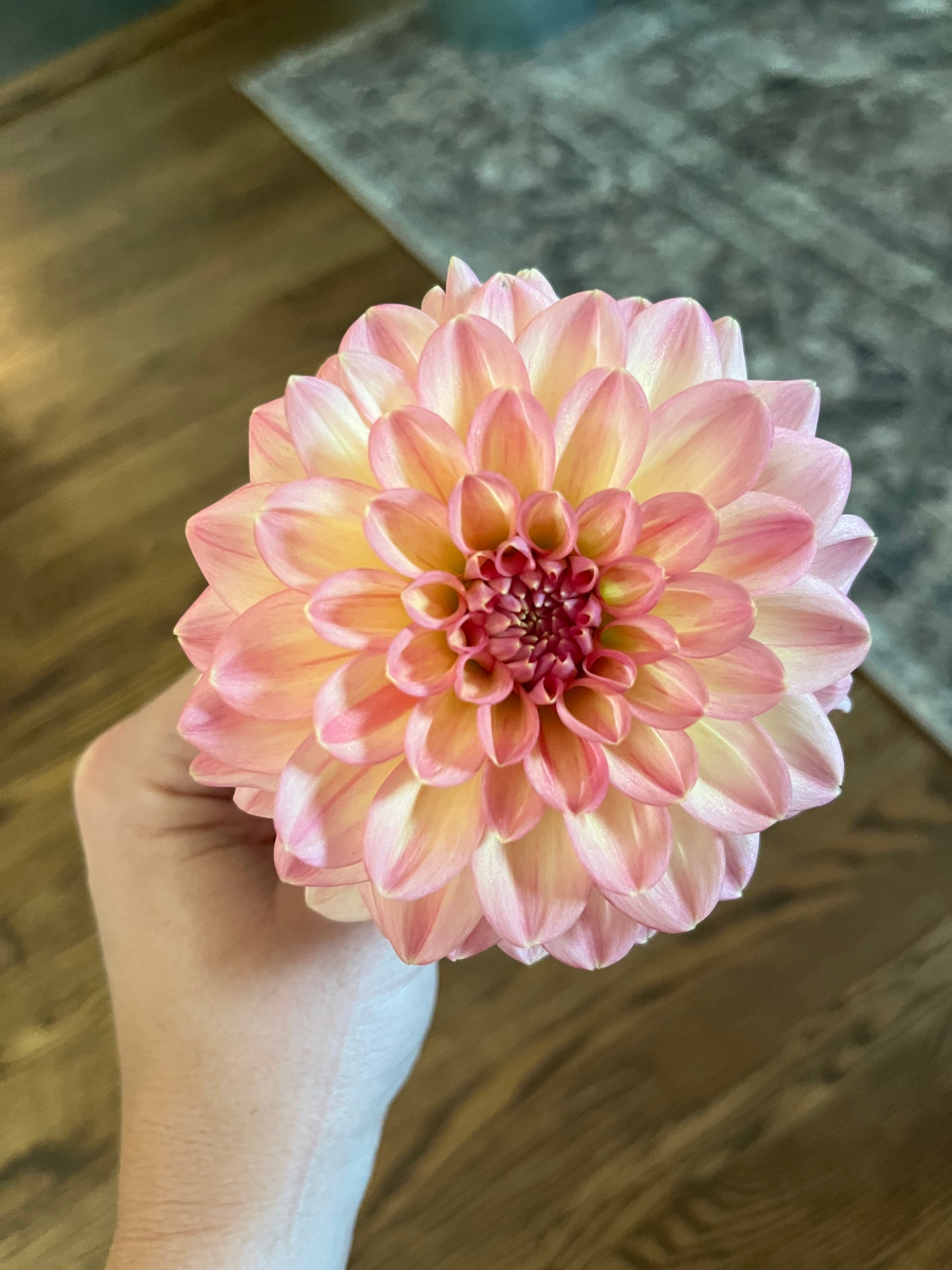 Lark's Ebb – Edie Rowe Flowers